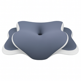 Oreiller Ergonomique Mémoire de Forme