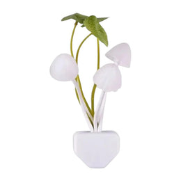 Veilleuse Champignon Sensorielle