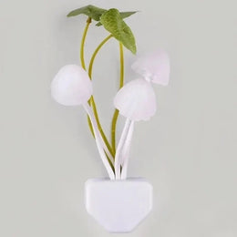 Veilleuse Champignon Sensorielle