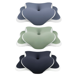 Oreiller Ergonomique Mémoire de Forme